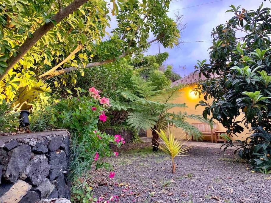 Rustic House La Montana Villa Breña Baja Eksteriør billede